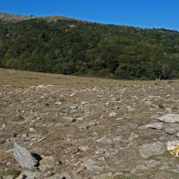 Coll de l'Ullat 33 - Coll dels Terrers - borne 588