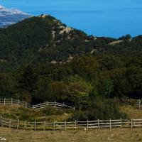 Coll de l'Ullat 34