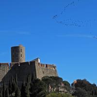 Collioure_Fort Saint-Elme