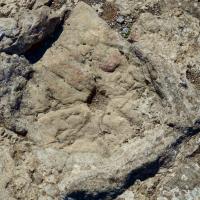 Bugarach 15