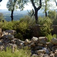 Agullana_Dolmen de Rocalba