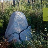 Capmany_Menhir Vidal