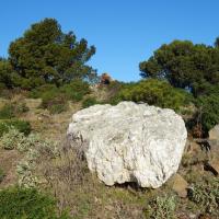 Colera_Dolmen del Pla dels Capellans