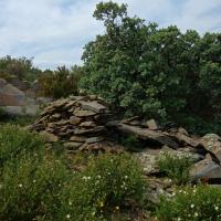 Espolla_Dolmen del Mas Girarols II