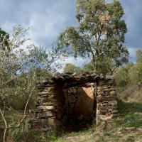 Espolla_Dolmen del Puig del Pal