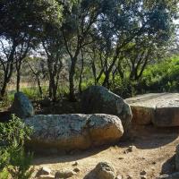 La Jonquera_Dolmen del Mas Baleta II