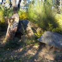 La Jonquera_Dolmen dels Planers de Serafina