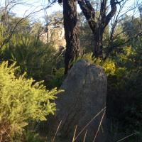 La Jonquera_Menhir dels Planers de Serafina