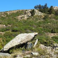 Llançà_Dolmen del collet o puig del Llop II