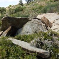 Palau-Saverdera_Dolmen de la Febrosa II
