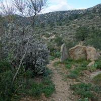 Palau-Saverdera_Dolmen de la riera Fontasia I
