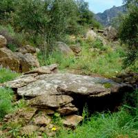 Palau-Saverdera_Dolmen de la Sureda II