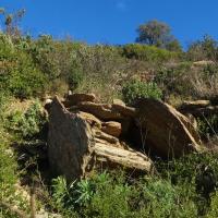 Pau_Dolmen de la Creu Blanca