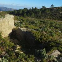 Pau_Dolmen del coll del Bosc de la Margalla