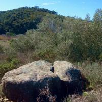 Rabos_Menhir de l'Orlina