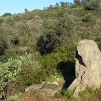 Roses_Menhir de la Casa Cremada