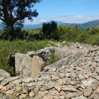 Sant Climent Sescebes_Dolmen del Salt del Peio