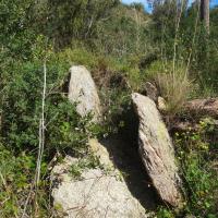 Vilajuïga_Dolmen del Barranc
