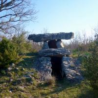 La Vacquerie-et-Saint-Martin-de-Castries (34)_Dolmen de Costa Caouada