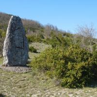 La Vacquerie-et-Saint-Martin-de-Castries (34)_Menhir du Coulet II