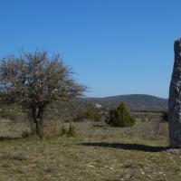 La Vacquerie-et-Saint-Martin-de-Castries (34)_Menhir du Coulet III