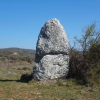 La Vacquerie-et-Saint-Martin-de-Castries (34)_Menhir du Coulet IV