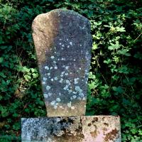 Lacaune (81)_Statue-menhir de Haute-Vergne