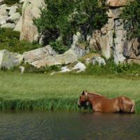 Lacs du Carlit 11
