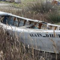 Le Barcarès_L'Ile des Pêcheurs 05