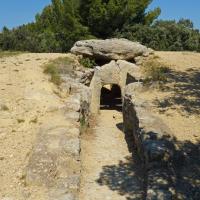 Le Pouget (34)_Dolmen de Gallardet