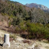 Maçanet de Cabrenys
