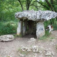 Mas d'Azil (09)_Dolmen de Cap del Pouech