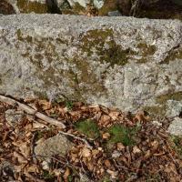 Mosset_Borne forestière_Armes des Castanier