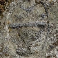 Mosset_Borne forestière_Armes des Castanier