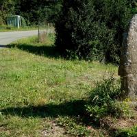 Moulin-Mage (81)_Statue-menhir de Rieuvel II
