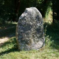 Murat-sur-Vèbre (81)_Statue-menhir de Plos