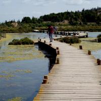 Peyriac-de-Mer 11