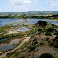 Peyriac-de-Mer 13