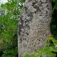 Pila-Canale_Statues-menhirs U Cantonu