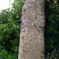 Pila-Canale_Statues-menhirs U Cantonu