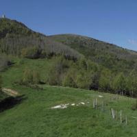 Prats de Mollo_Torre del Mir