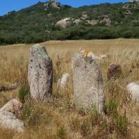 Sartène_Alignement d'Apazzu