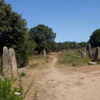 Sartène_Alignement de Pagliaghju