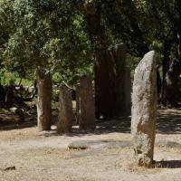 Sartène_Cauria_Alignement de Rinaghju