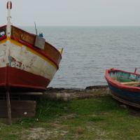 La Font del Port 08