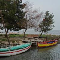 La Font del Port 09