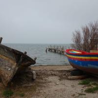 La Font del Port 01