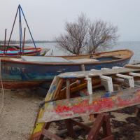 La Font del Port 03