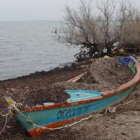 La Font del Port 06