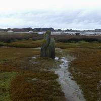 Trebeurden (Côtes d'Armor)_Menhir du Toeno
